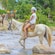 A man and a woman horseback ride through a shallow stream